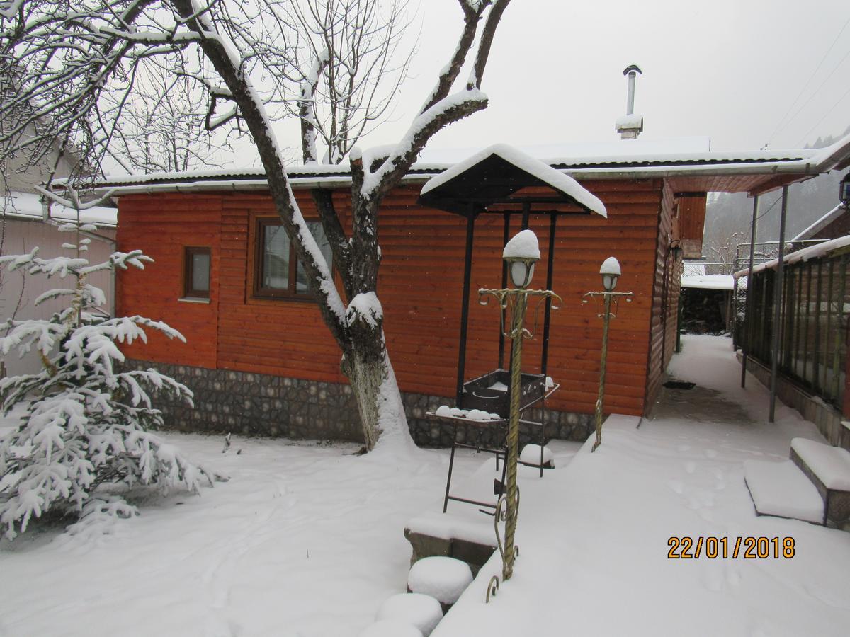 Kotiedzh U Mariny Villa Yaremche Dış mekan fotoğraf